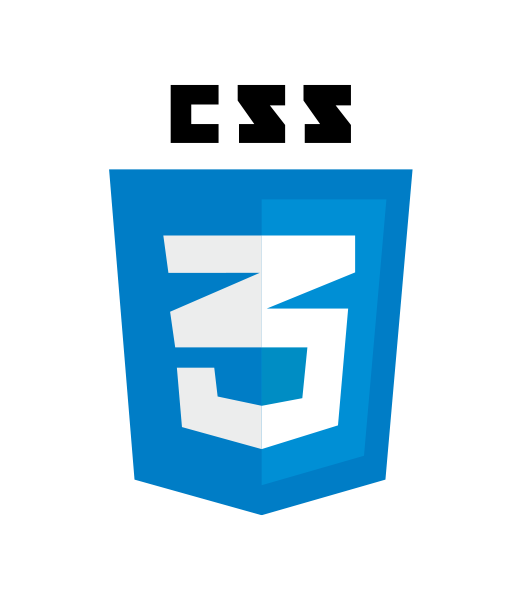 CSS expert Logo